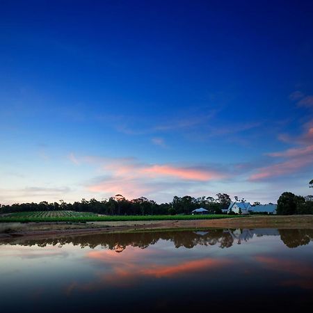 Bed and Breakfast Balgownie Estate Bendigo Exteriér fotografie